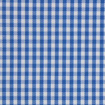 Blue and White Gingham Checks shirt fabric a609	