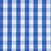 Blue and White large Gingham Checks shirt fabric a921
