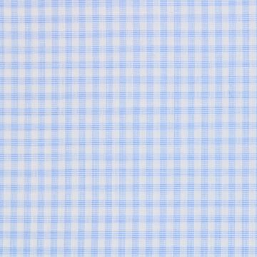 Cashmere/Cotton Blue and White Gingham Checks a1153
